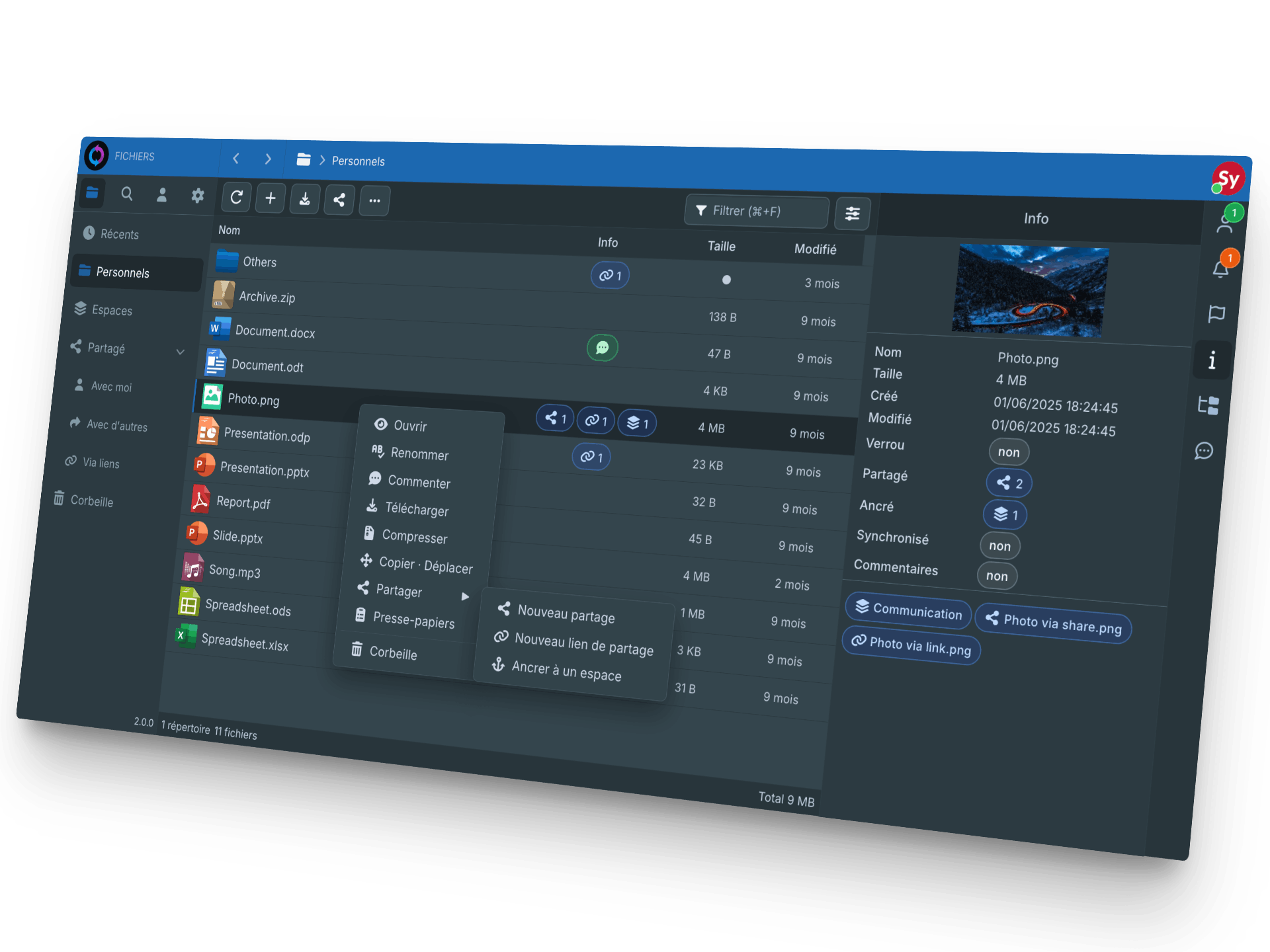 Interface de gestion de fichiers Sync-in