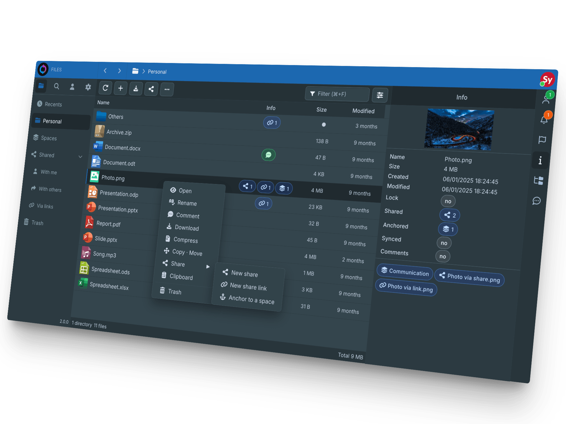 Sync-in file management interface